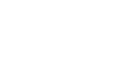 Pixel Wings Ltd